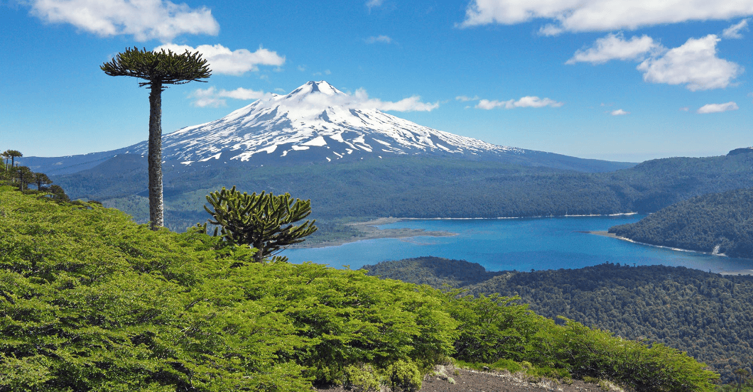 Volcano Llaima Base Route Conquer One Of Conguill o s Most Volcano Llaima Base Route Conquer One Of Conguill o s Most