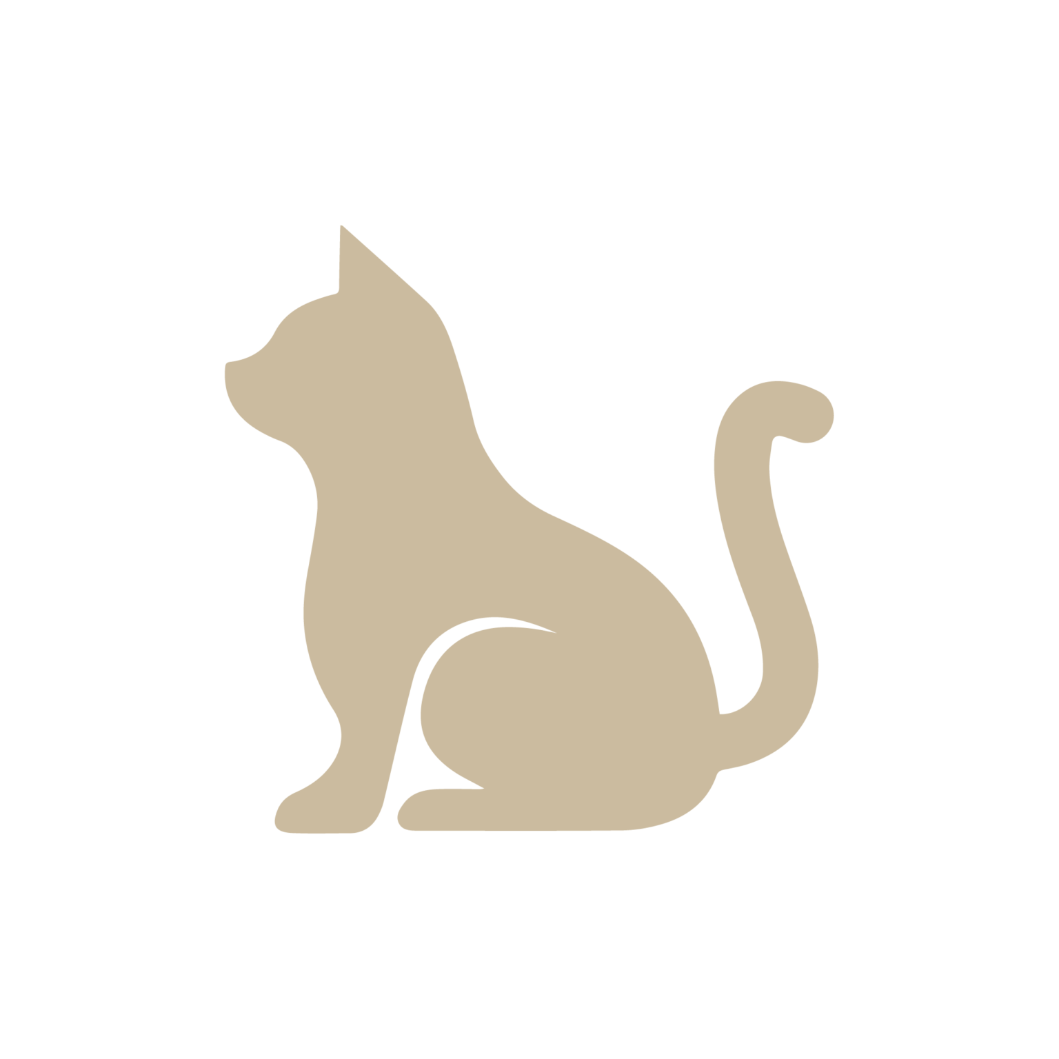 information-conguillio-national-park